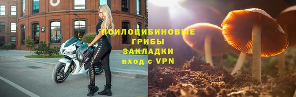стафф Беломорск
